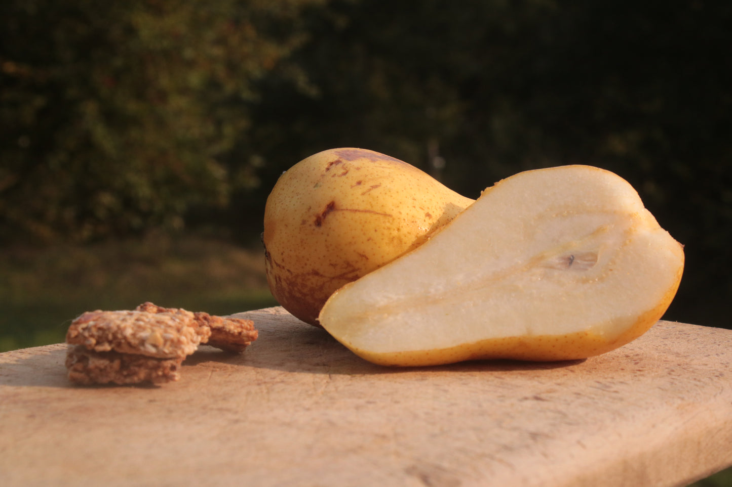 Friandises naturelles pour cheval