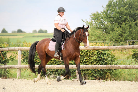 Quel équipement pour commencer l'équitation ?