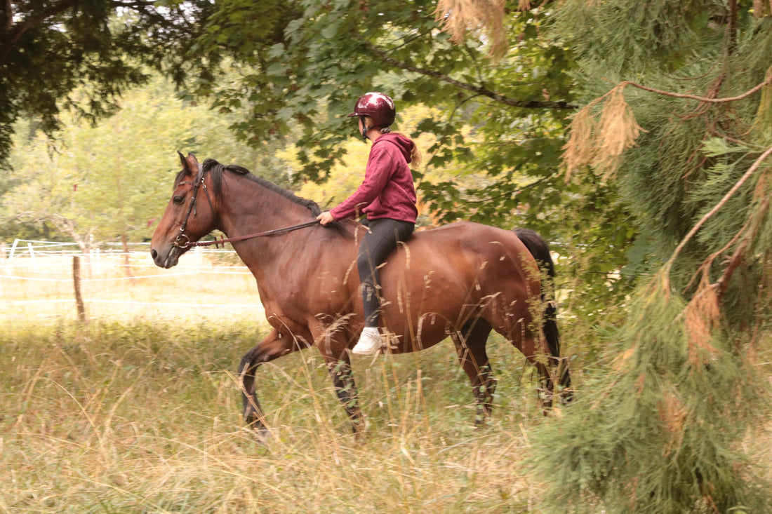 Rester en sécurité à cheval pendant la chasse