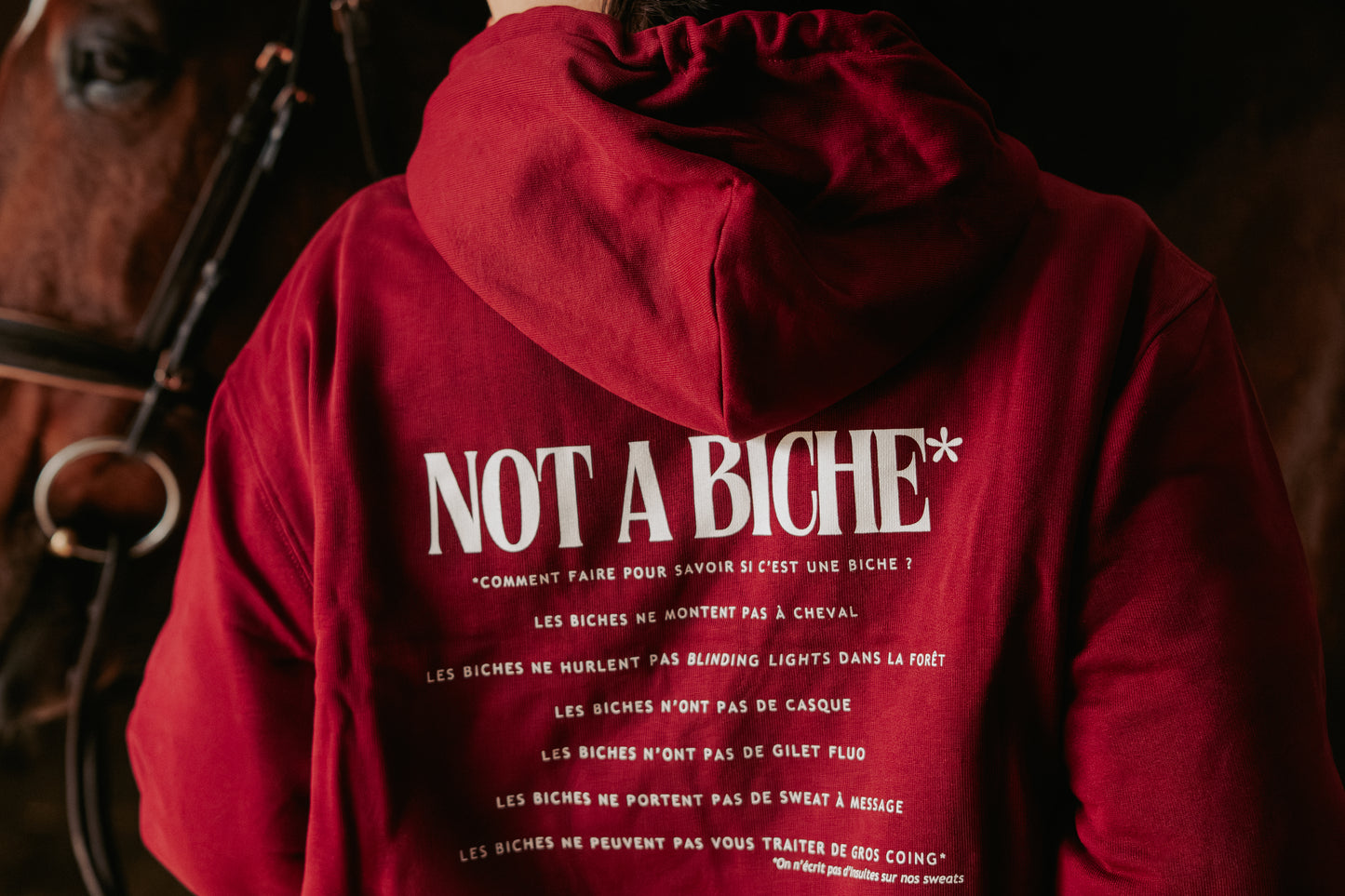 Hoodie en coton bio "Not a Biche"