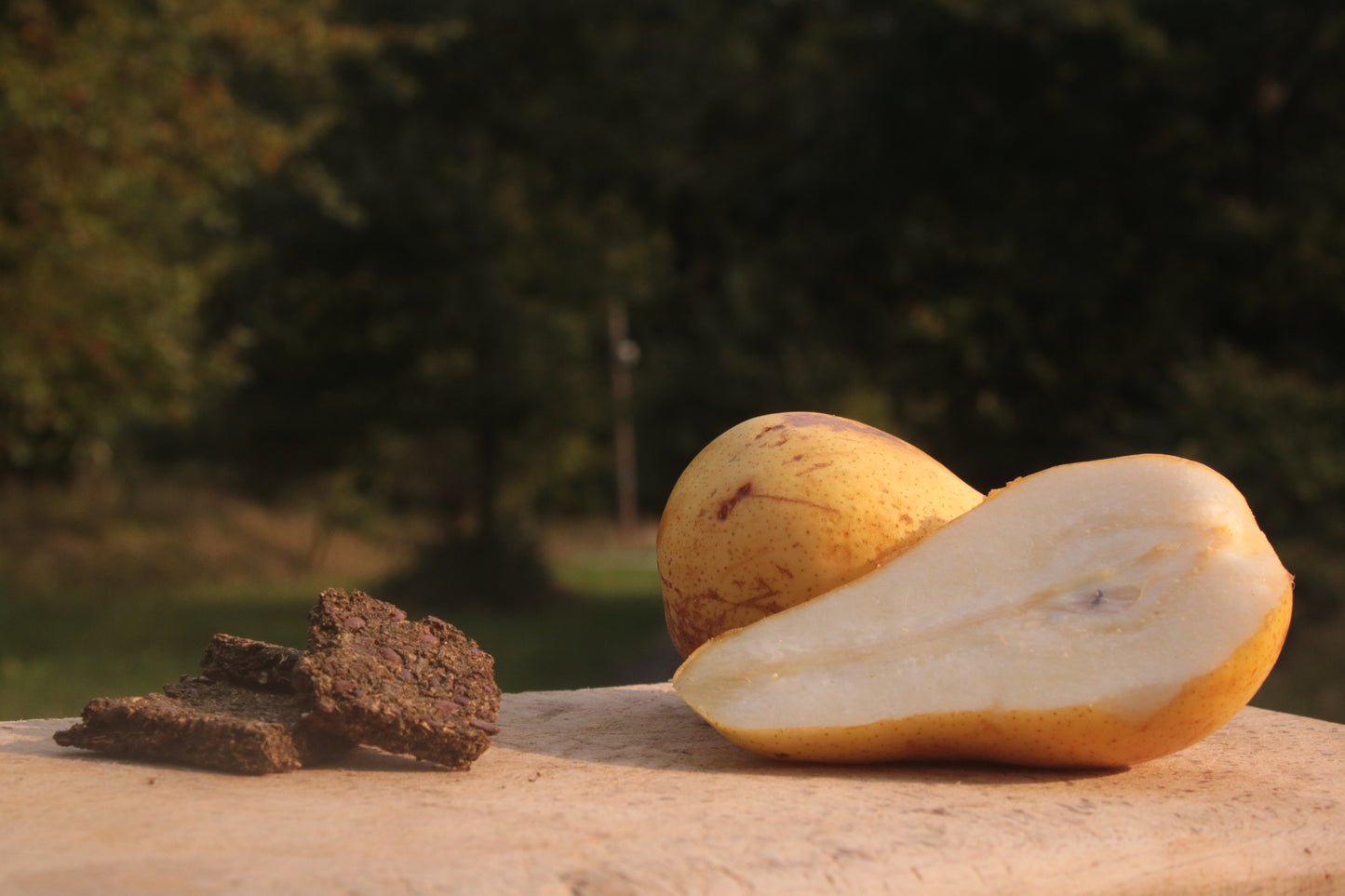 Friandises cheval sans céréales